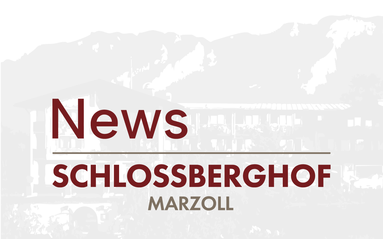 Freie Termine ab Februar 2026